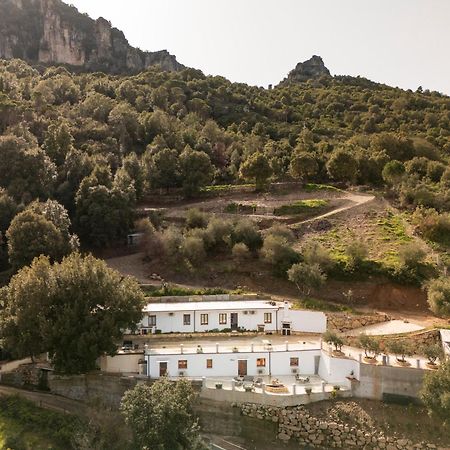 Casa Jerzu S'Essia De Su Santu 빌라 외부 사진